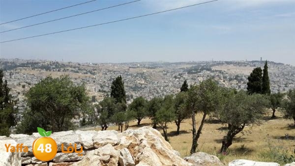 rashidiyasy 0531 (42).jpg